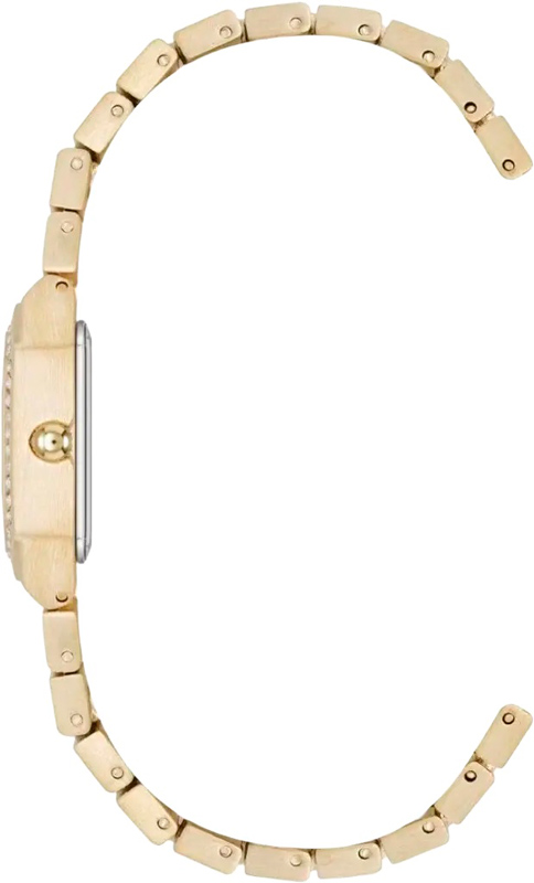 Anne Klein AK/5360GMGB